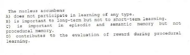 The nucleus accumbens
A) does not participate in learning of any type.
B) is important to long-term but not to short-term learning.
C) is important in episodic and semantic memory but not procedural memory.
D) contributes to the evaluation of reward during procedural learning.