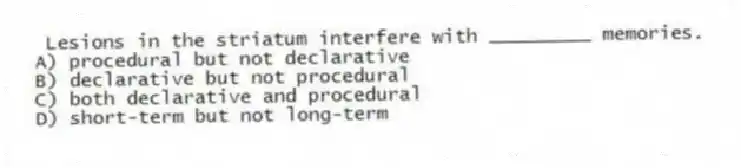 Lesions in the striatum interfere with _________ memories.
A) procedural but not declarative
B) declarative but not procedural
C) both declarative and procedural
D) short-term but not long-term