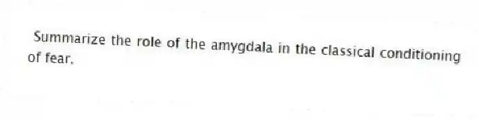 Summarize the role of the amygdala in the classical conditioning of fear.