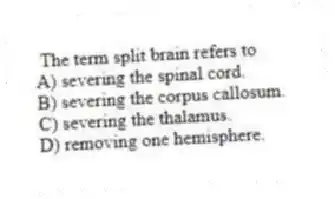 The term split brain refers to
A) severing the spinal cord.
B) severing the corpus callosum.
C) severing the thalamus.
D) removing one hemisphere.
