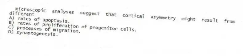 Microscopic analyses suggest that cortical asymmetry might result from different
A) rates of apoptosis.
B) rates of proliferation of progenitor cells.
C) processes of migration.
D) synaptogenesis.