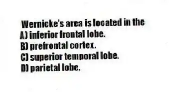Wernicke's area is located in the
A) inferior frontal lobe.
B) prefrontal cortex.
C) superior temporal lobe.
D) parietal lobe.