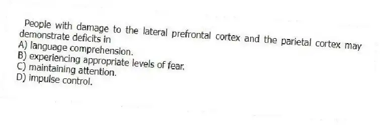 People with damage to the lateral prefrontal cortex and the parietal cortex may demonstrate deficits in
A) language comprehension.
B) experiencing appropriate levels of fear.
C) maintaining attention.
D) impulse control.