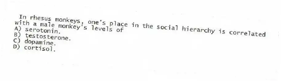 In rhesus monkeys, one's place in the social hierarchy is correlated with a male monkey's levels of
A) serotonin.
B) testosterone.
C) dopamine.
D) cortisol.