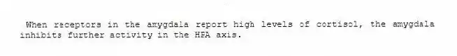  When receptors in the amygdala report high levels of cortisol, the amygdala inhibits further activity in the HPA axis.