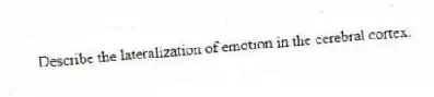 Describe the lateralization of emotion in the cerebral cortex.