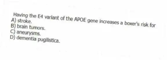 Having the E4 variant of the APOE gene increases a boxer's risk for
A) stroke.
B) brain tumors.
C) aneurysms.
D) dementia pugilistica.