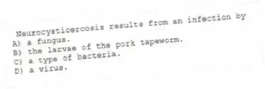 Neurocysticercosis results from an infection by
A) a fungus.
B) the larvae of the pork tapeworm.
C) a type of bacteria.
D) a virus.