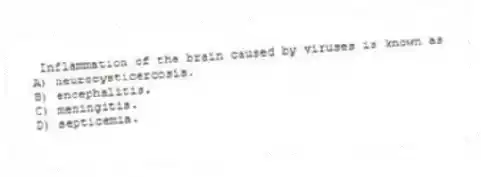 Inflammation of the brain caused by viruses is known as
A) neurocysticercosis.
B) encephalitis.
C) meningitis.
D) septicemia.