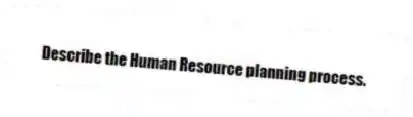 Describe the Human Resource planning process.