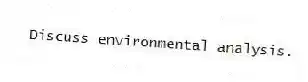 Discuss environmental analysis.