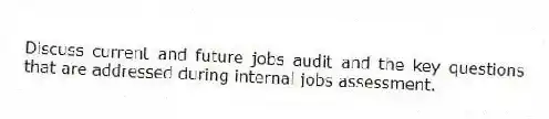 Discuss current and future jobs audit and the key questions that are addressed during internal jobs assessment.