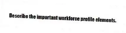 Describe the important workforce profile elements.