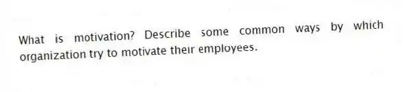 What is motivation? Describe some common ways by which organization try to motivate their employees.