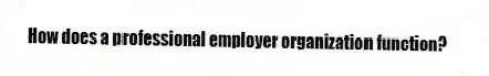 How does a professional employer organization function?