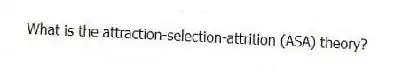 What is the attraction-selection-attrition (ASA) theory?