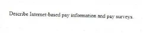 Describe Internet-based pay information and pay surveys.