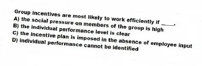 Group incentives are most likely to work efficiently if _____.
A) the social pressure on members of the group is high
B) the individual performance level is clear
C) the incentive plan is imposed in the absence of employee input
D) individual performance cannot be identified