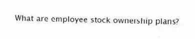 What are employee stock ownership plans?
