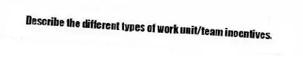 Describe the different types of work unit/team incentives.