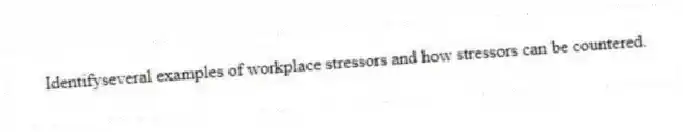 Identifyseveral examples of workplace stressors and how stressors can be countered.