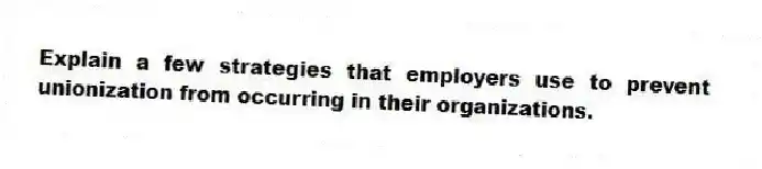 Explain a few strategies that employers use to prevent unionization from occurring in their organizations.