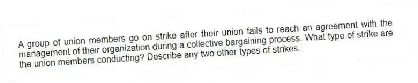 A group of union members go on strike after their union fails to reach an agreement with the management of their organization during a collective bargaining process. What type of strike are the union members conducting? Describe any two other types of strikes.