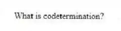 What is codetermination?