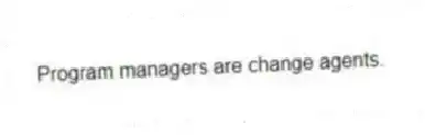  Program managers are change agents.