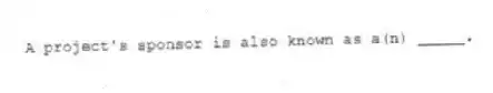  A project's sponsor is also known as a(n) _____.