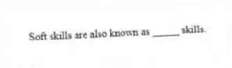  Soft skills are also known as _____ skills.