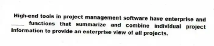 High-end tools in project management software have enterprise and _____ functions that summarize and combine individual project information to provide an enterprise view of all projects.