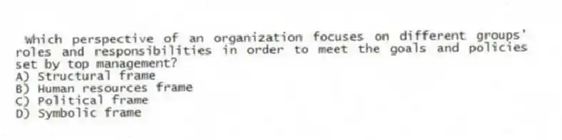 Which perspective of an organization focuses on different groups' roles and responsibilities in order to meet the goals and policies set by top management?
A) Structural frame
B) Human resources frame
C) Political frame
D) Symbolic frame