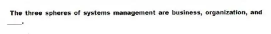 The three spheres of systems management are business, organization, and _____.
