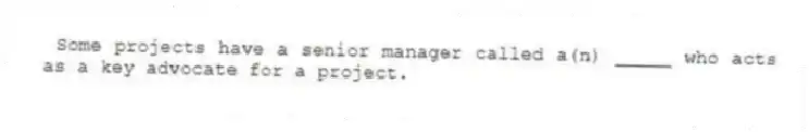 Some projects have a senior manager called a(n) _____ who acts as a key advocate for a project.