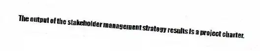 The output of the stakeholder management strategy results is a project charter.