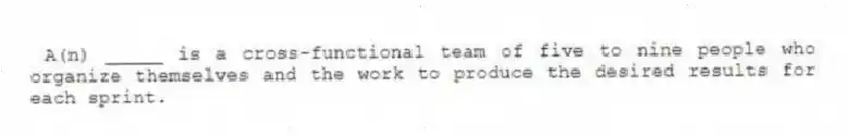  A(n) _____ is a cross-functional team of five to nine people who organize themselves and the work to produce the desired results for each sprint.