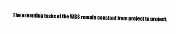 The executing tasks of the WBS remain constant from project to project.