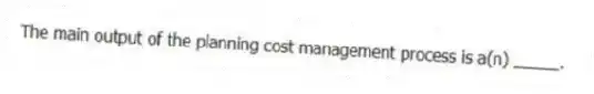 The main output of the planning cost management process is a(n) _____.