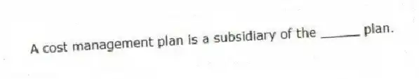 A cost management plan is a subsidiary of the _____ plan.