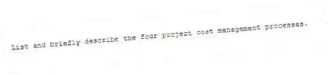 List and briefly describe the four project cost management processes.