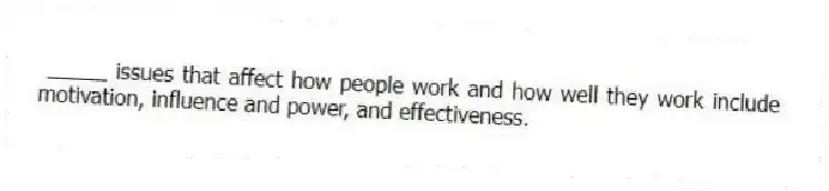 _____ issues that affect how people work and how well they work include motivation, influence and power, and effectiveness.