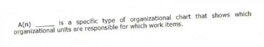 A(n) _____ is a specific type of organizational chart that shows which organizational units are responsible for which work items.