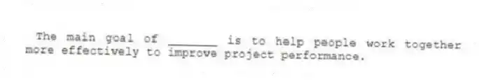 The main goal of _______ is to help people work together more effectively to improve project performance.