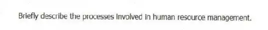 Briefly describe the processes involved in human resource management.