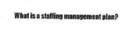 What is a staffing management plan?