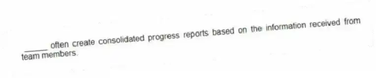 _____ often create consolidated progress reports based on the information received from team members.