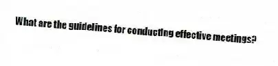 What are the guidelines for conducting effective meetings?