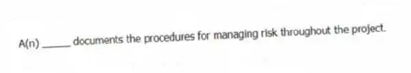 A(n) _____ documents the procedures for managing risk throughout the project.