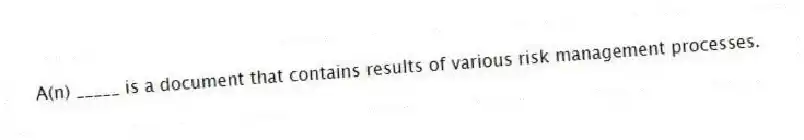 A(n) _____ is a document that contains results of various risk management processes.